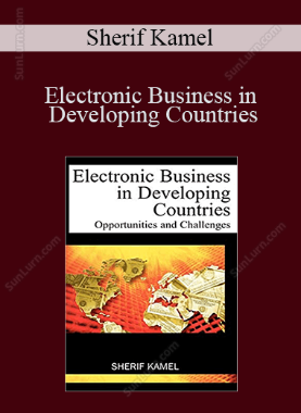 Sherif Kamel - Electronic Business in Developing Countries: Opportunities and Challenges