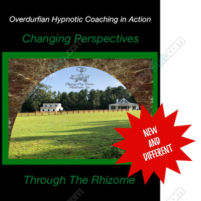 John Overdurf - Changing Perspectives through the Rhizome