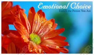 Lon McDonald BJ.S. Epperson-Emotional Choice: Enrich the Person You Are