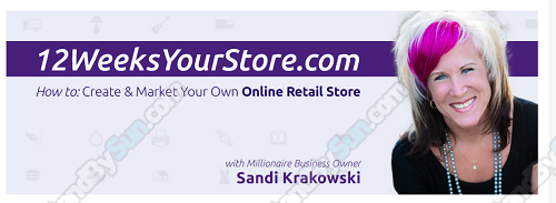 Sandi Krakowski - 12 Weeks Your Store Video Class