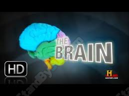 History Channel - The Brain