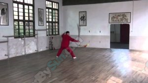 Sun-style Xingyi Ba Shi Qang Actual Combat-Deng Fuming