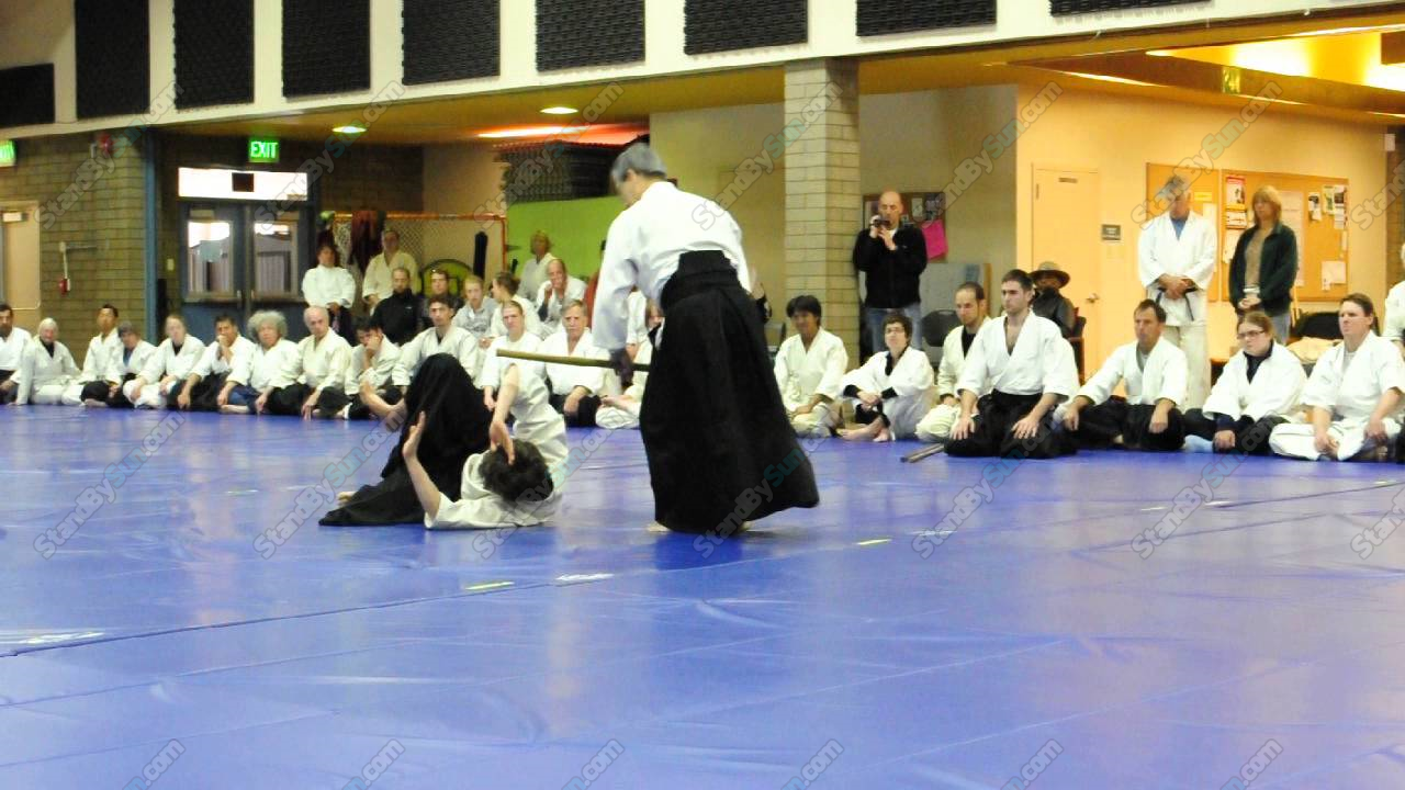 Image result for Hoa Newens - Aikido Curriculum Volumes 1-7